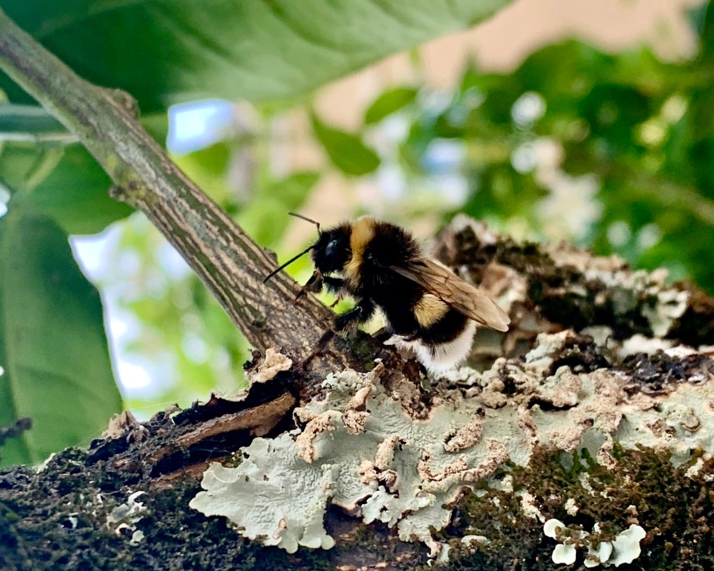 Quando perceber conte aos&nbsp;outros