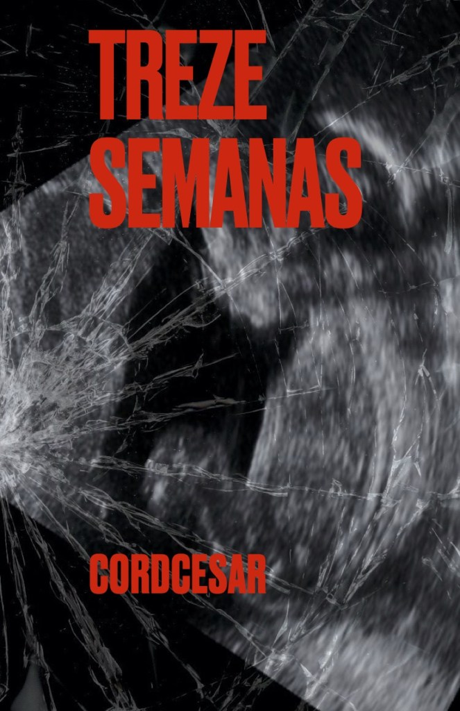 Capa do Livro Treze, por Cord Cesar, disponível na Amazon.com