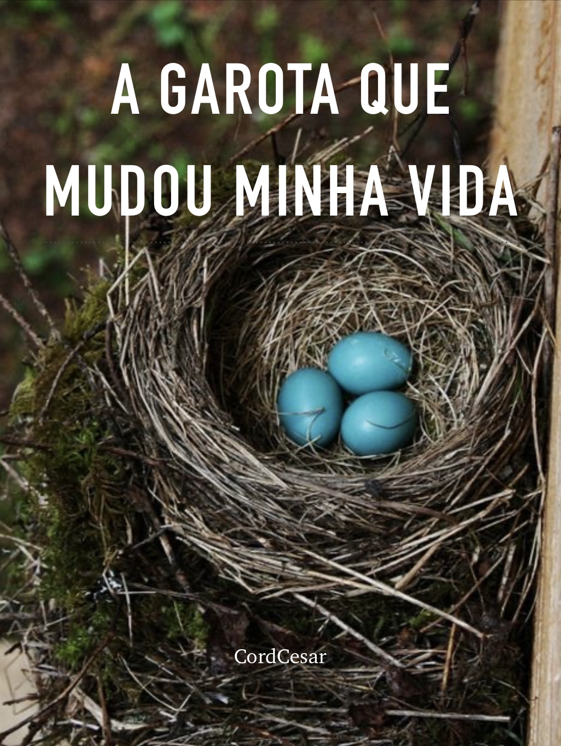 Livro A Garota Que Mudou Minha Vida, por Cord Cesar, disponível na Amazon.com