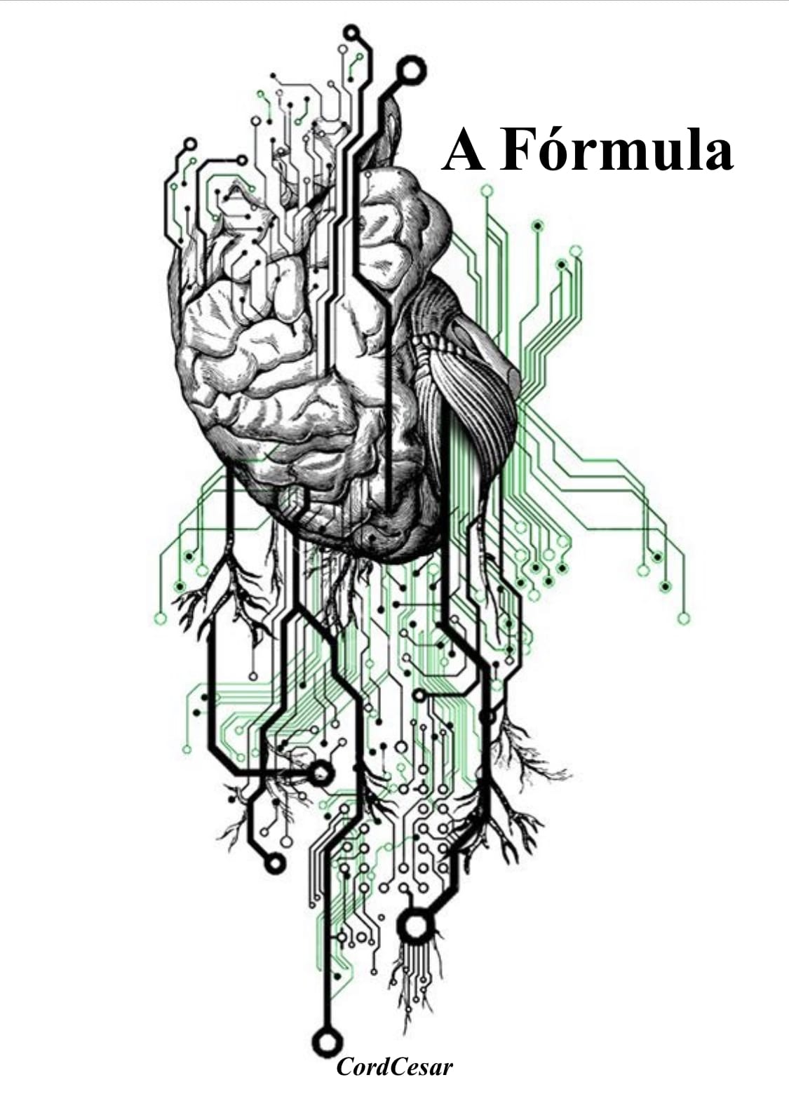 Livro A Fórmula, por CordCesar disponível na Amazon. com